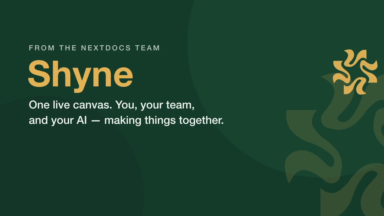 Why we built Shyne