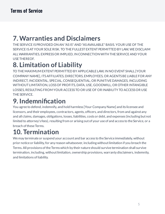 SaaS Consumer Terms of Service