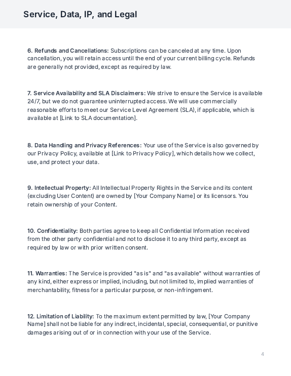 Subscription SaaS Terms & Conditions