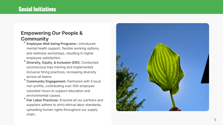 Annual Sustainability Review for Startups