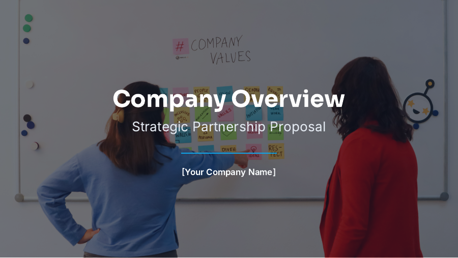 Company Overview for Strategic Partners