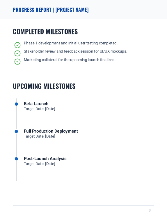 Team Progress Report for Stakeholders v5