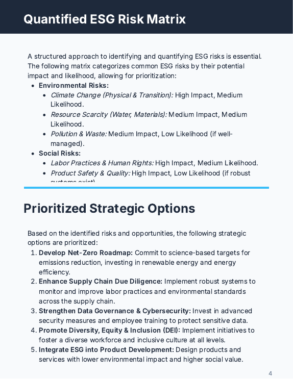 Board-Level ESG Strategy & Risk Brief