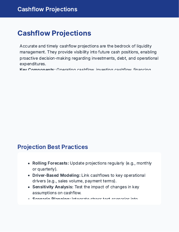 Financial Risk & Liquidity Playbook for CFOs
