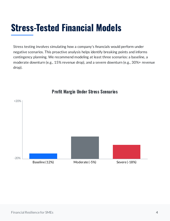 SME Financial Resilience Strategy