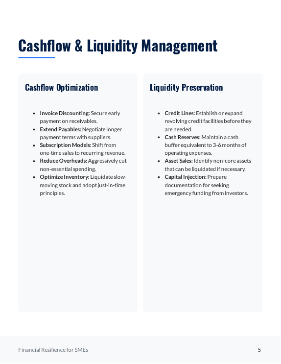 SME Financial Resilience Strategy