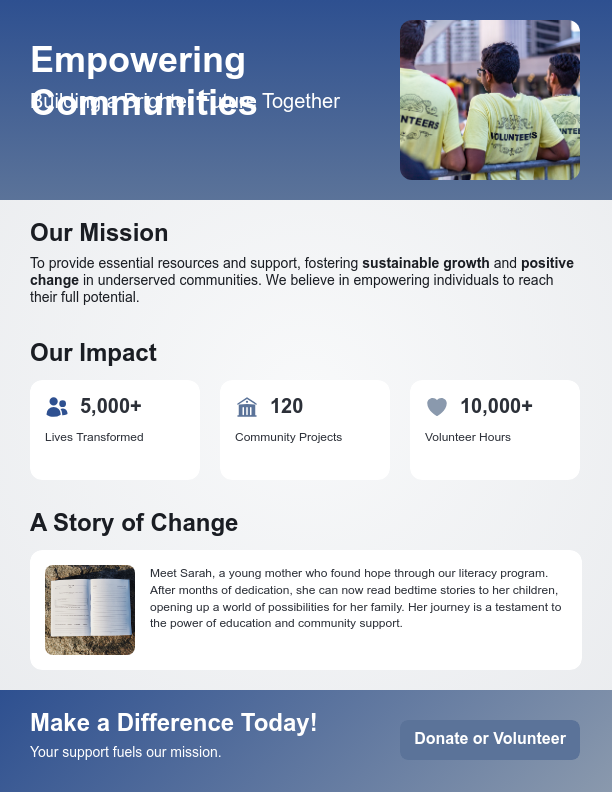 Nonprofit Mission and Impact Brief
