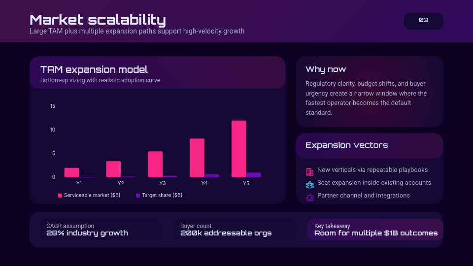 Strategic Venture Capital Fundraising Pitch