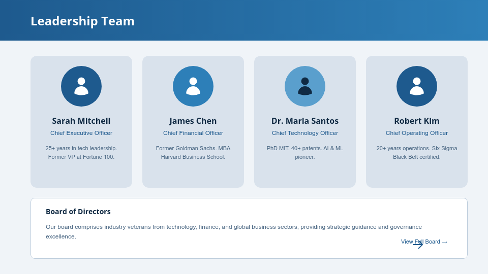 Strategic Executive Business Profile