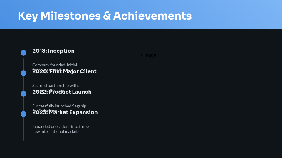 Professional Corporate Identity Summary