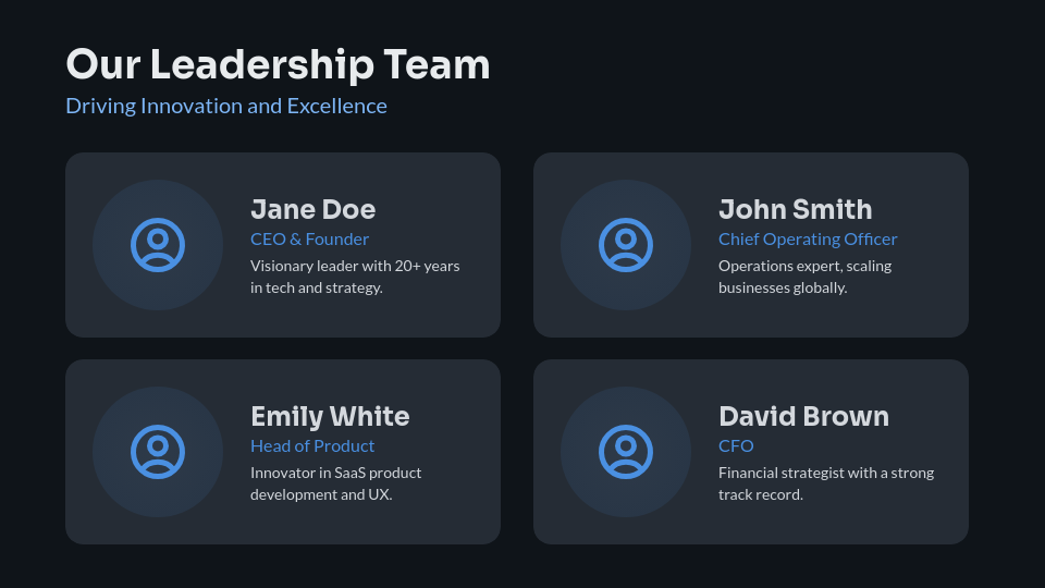 Professional Corporate Identity Summary