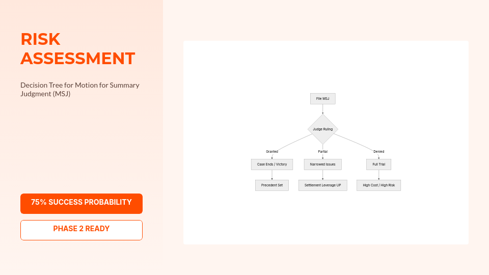 Comprehensive Litigation Strategy Deck