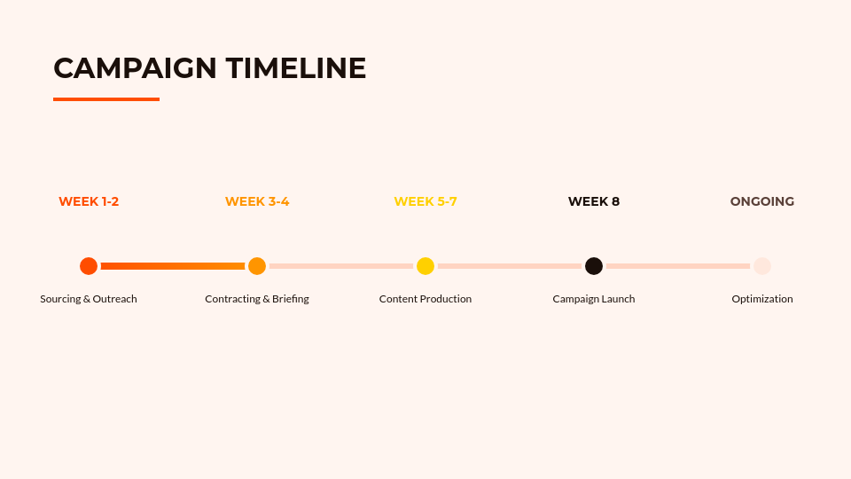 Influencer Marketing Campaign Strategy