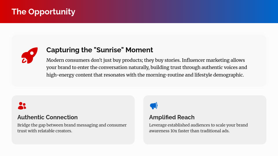 Influencer Partnership Growth Proposal
