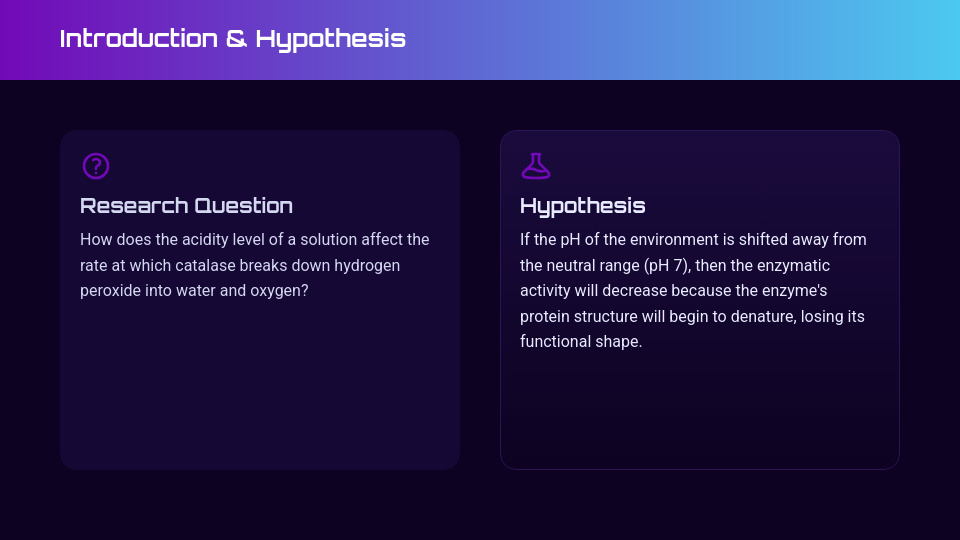 Creative Science Fair Project Summary