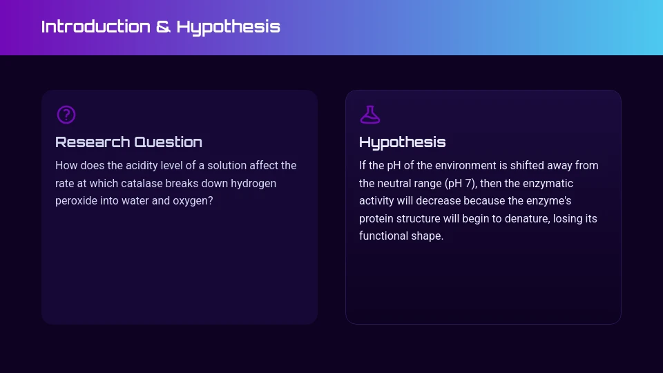 Creative Science Fair Project Summary
