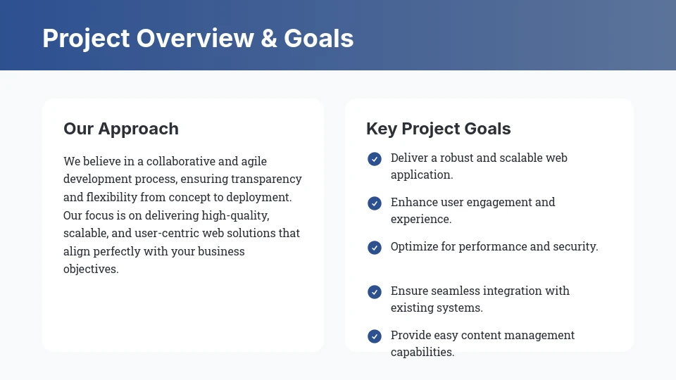 Custom E-commerce Web Development Pitch