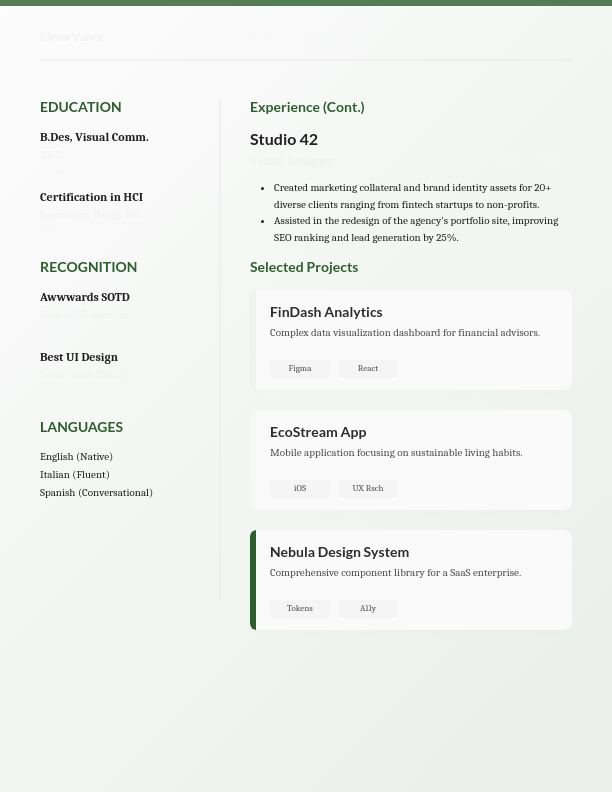 Bold Visual Identity Designer CV