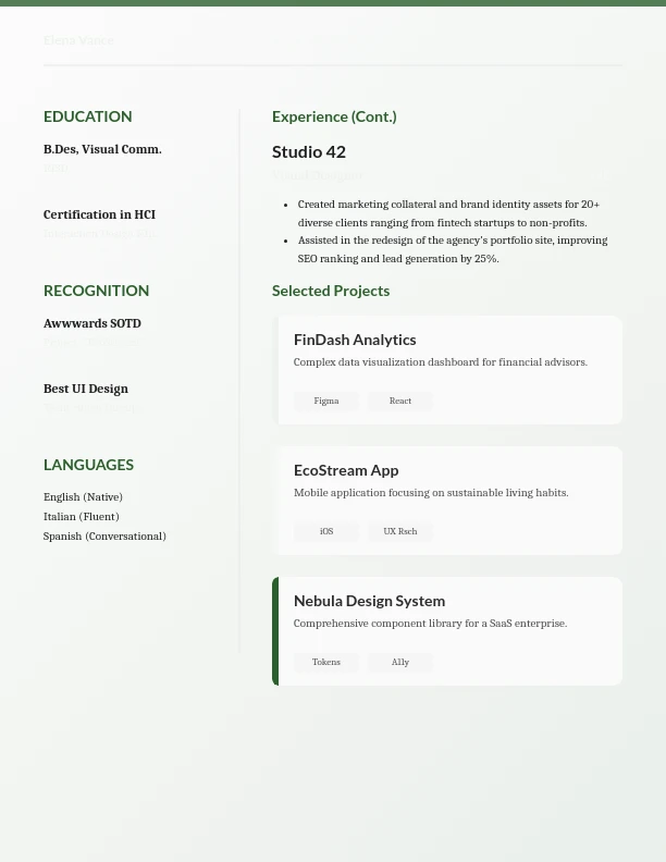 Bold Visual Identity Designer CV