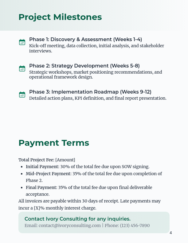 Strategic Business Consulting Statement of Work