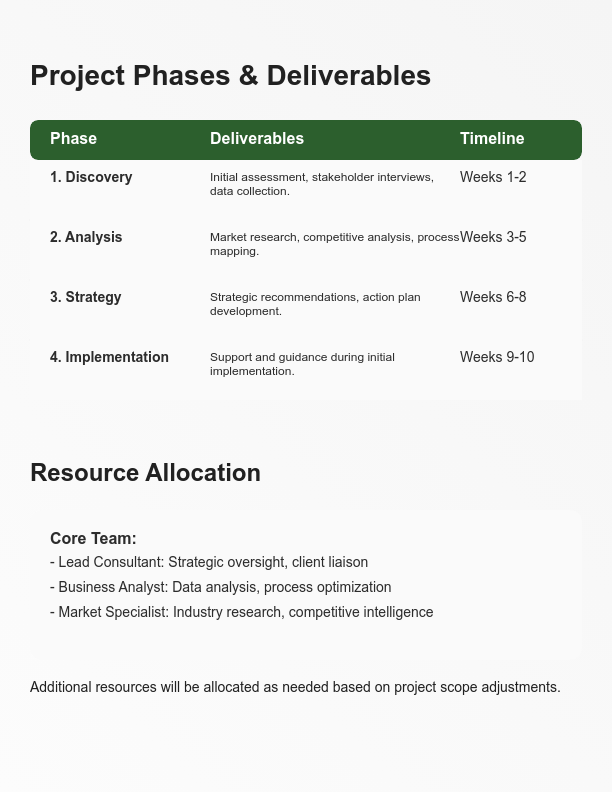 Strategic Consulting Project Scope of Work