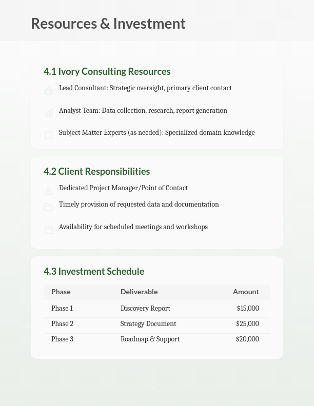 Strategic Management Consulting Scope of Work