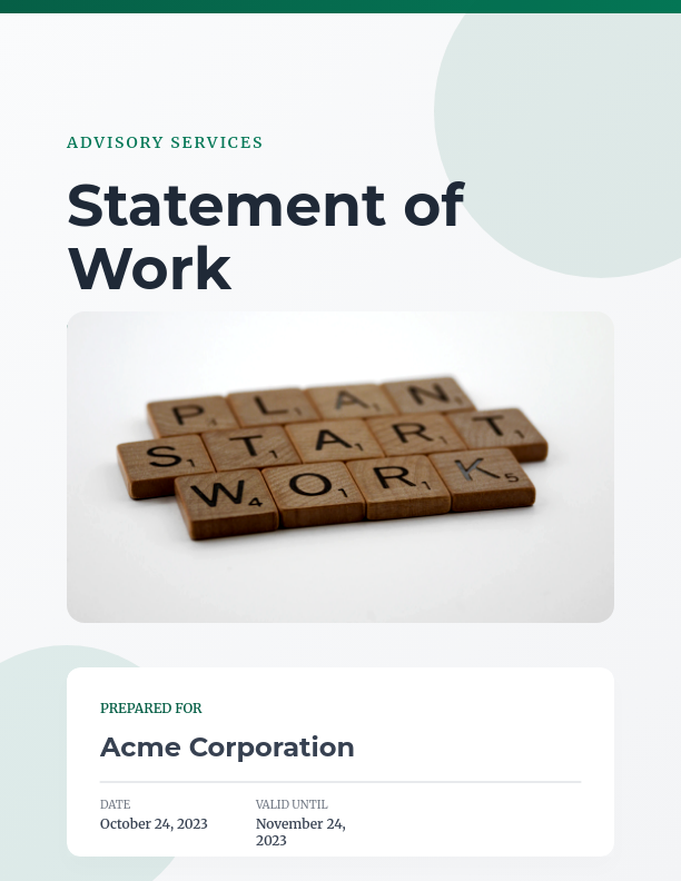 Professional Advisory Engagement Scope