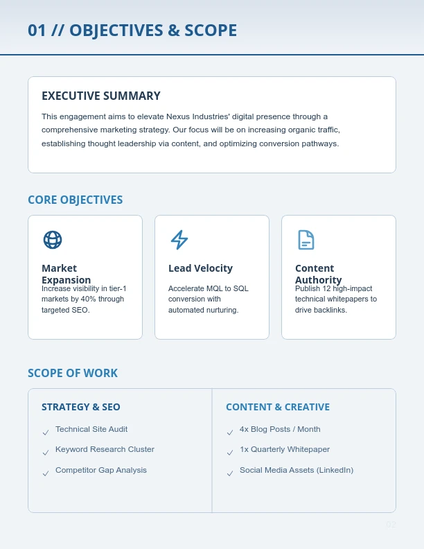 Marketing Strategy and Execution Scope