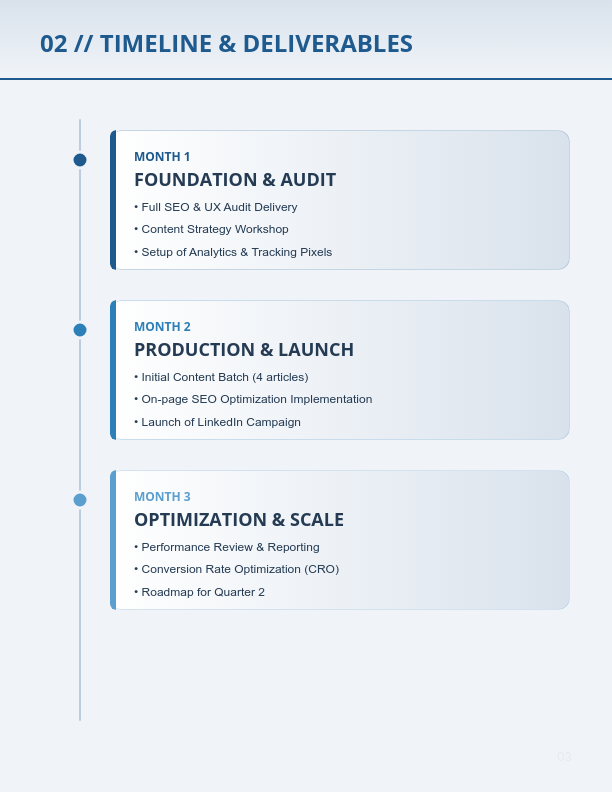 Marketing Strategy and Execution Scope