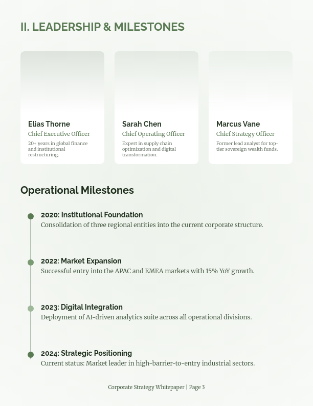 Strategic Corporate Profile and Vision